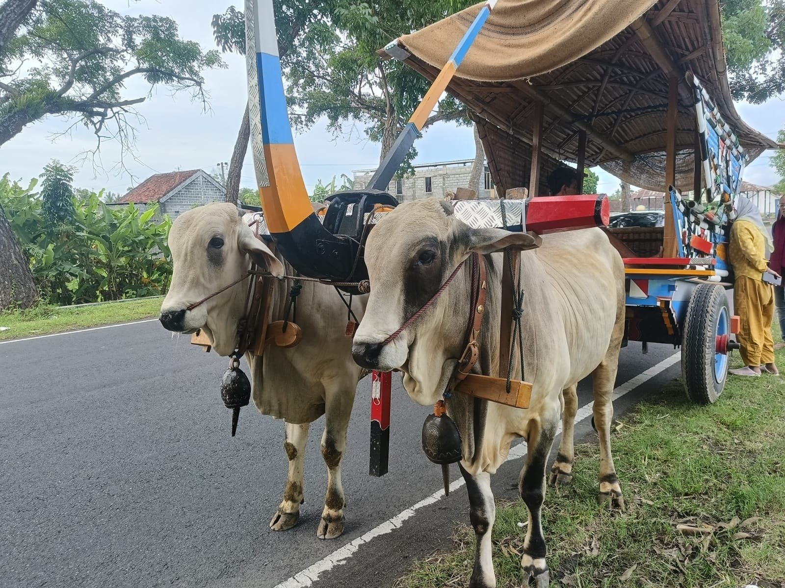 bantul villages tour